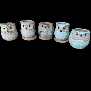 Peut inclure: Cinq pots de fleurs en céramique en forme de hibou, dans des tons de bleu, beige et marron. Chaque pot a une base ronde et un visage de hibou détaillé. Les pots sont disposés en rangée, mettant en valeur leurs motifs uniques.