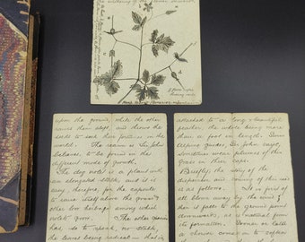 Mid 19th (1850's) century quarter bound book with handwritten letter & illustrations included Gustav Konig plate / Rare book / Old book