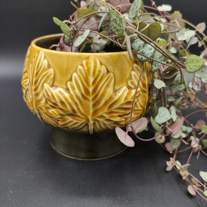 Sylvac pedastal planter pattern 4210 1940s 1950s Ceramic plant pot Leaf pattern plant pot Collectable ceramic Sylvac Gardener Gift Plants