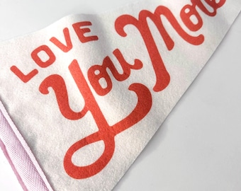 Love You More Felt Pennant Flag