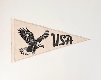 USA Vintage Eagle Pennant