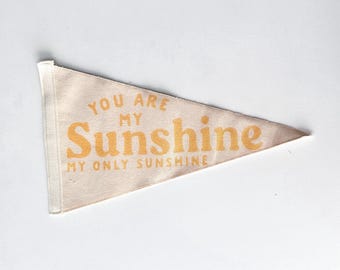 You Are My Sunshine Pennant Flag