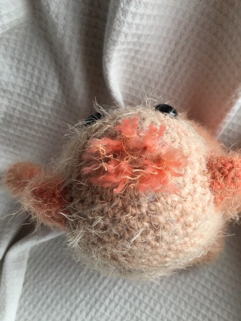 Crochet teddy bear overfed Fred FREE SHIPPING