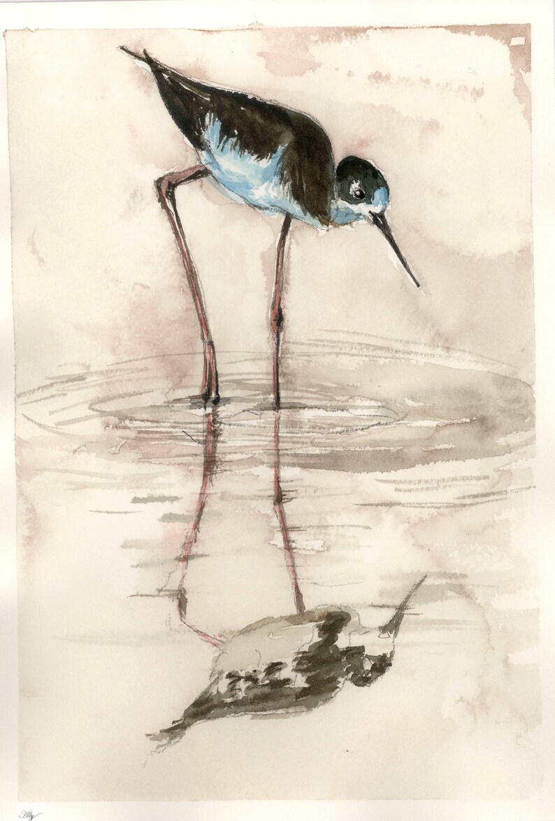 Original Watercolor Painting 10.25 X 7 Bird Look At Its Reflection #4 One Of A Kind Painting Not Aceo Clip Art Art & Collectibles Sibawor.id