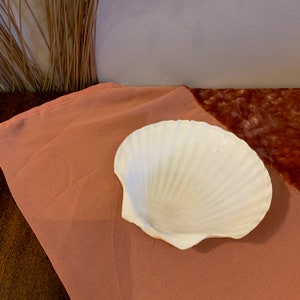 Scalloped Shell Dish