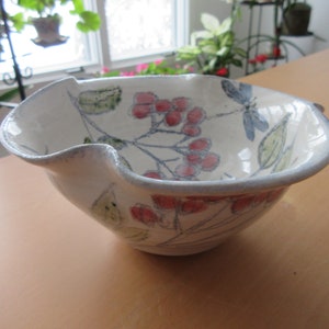 Puede incluir: Un cuenco de cerámica blanco con un borde ondulado, pintado a mano con bayas rojas, hojas verdes y diseños de libélulas azules. El cuenco tiene un borde azul claro y probablemente se utiliza para servir o exhibir.