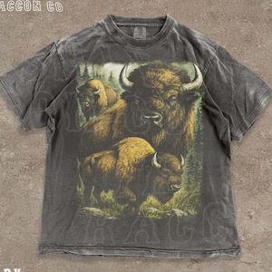 アメリカバイソンギフトアウトドアバッファロー トレーナー RRL - 2013