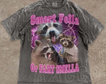Camiseta engraçada com estampa de guaxinim, meme "Smart Fella Fart Smella" (Cara esperto, peido fedorento), estilo anos 90, vintage, unissex.