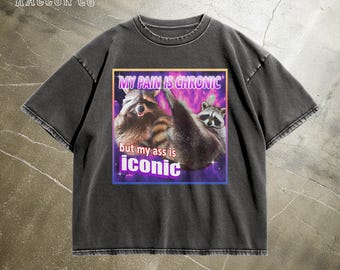 Funny Raccoon Meme T-Shirt - My Pain is Chronic but My Ass is Iconic - Opossums Meme - Sarcastic Animal Tee - Trash Panda Humorous Gift