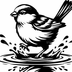3 Pássaros espirrando na água SVG - 3 clipart de pássaros da natureza para artesanato, decalques e decoração de casa DIY