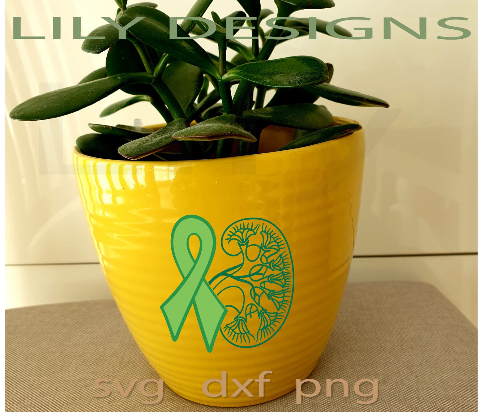 Green Ribbon Kidney Disease Svg Organ Donor World Kidney Day Etsy