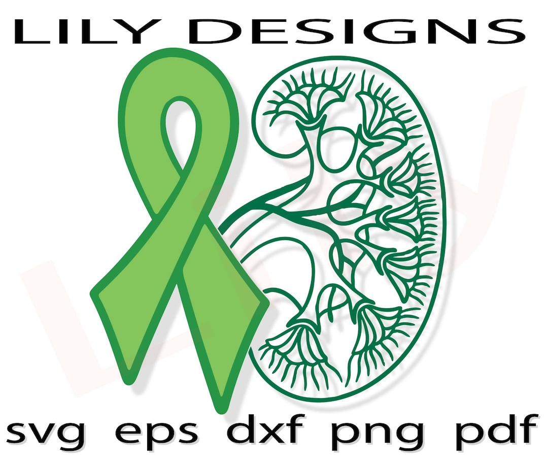 Green Ribbon Kidney Disease Svg Organ Donor World Kidney Day Transplant