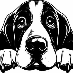 Archivo SVG de corte de 8 caras de perro beagle: adorable cachorro triste mirando a escondidas. Diseño de mascotas de Cricut para amantes de los perros y manualidades.