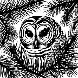 5 diseños de bosque invernal – 5 archivos SVG de búho con ramas de pino – Imágenes prediseñadas de animales del bosque para Cricut, letreros, manualidades y regalos