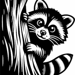 4 Raccoon peeking SVG – 4 Cute woodland animal cut file – Forest wildlife silhouette clipart for shirts, mugs and home crafts