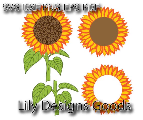 Download sunflower outline cut file silhouette sunflower svg iron ...