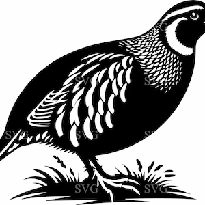 Wachteln SVG Schnitt Datei | 6 Jagender Vogel mit Gewehr | Wildtiere Clipart für Cricut Silhouette Crafts