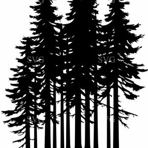 8 forêt de pins SVG, Clipart Silhouette d'arbres à feuilles persistantes, nature boisé couper fichier pour Cricut, Sublimation