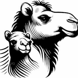 8 Duo di animali del deserto – 8 File di taglio SVG di cammello – Clipart di mamma e cucciolo di cammello per safari in asilo nido, artigianato, taglio laser, decalcomanie in vinile