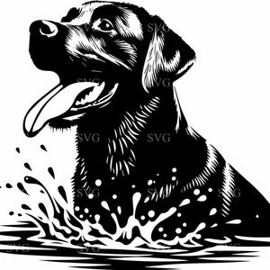 May include: Black and white illustration of a Labrador Retriever dog swimming in water with splashes coming up around it.