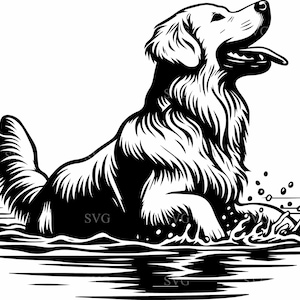 Golden retriever in het water SVG - 4 speelse hondenclips voor knutselen, stickers en ontwerpen met huisdierthema