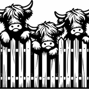 May include: Black and white illustration of three Highland cows peeking over a white picket fence. The cows have shaggy fur, large horns, and are depicted in a cartoon style. The fence is made of vertical wooden planks.