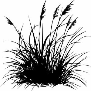 May include: A black and white silhouette of ornamental grass. The image features a cluster of tall, slender blades and feathery plumes, creating a natural and elegant design. The grass is depicted in a minimalist style, suitable for various design applications.