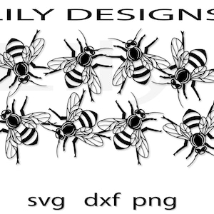 Bee Svg Honey Pot Svg Populaire Koningin PNG