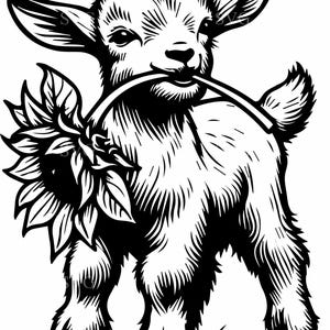 May include: Black and white illustration of a baby goat holding a sunflower in its mouth. The goat has a fluffy coat and is standing on grass. The image is a detailed line drawing, suitable for various craft projects.