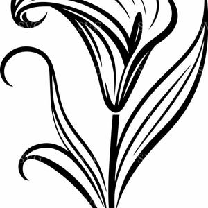 Könnte beinhalten: Eine Schwarz-Weiß-Zeichnung einer stilisierten Calla-Lilie mit einem einzelnen Stiel und Blättern.