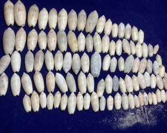 Cáscaras de aceituna con letras a granel 100 en total