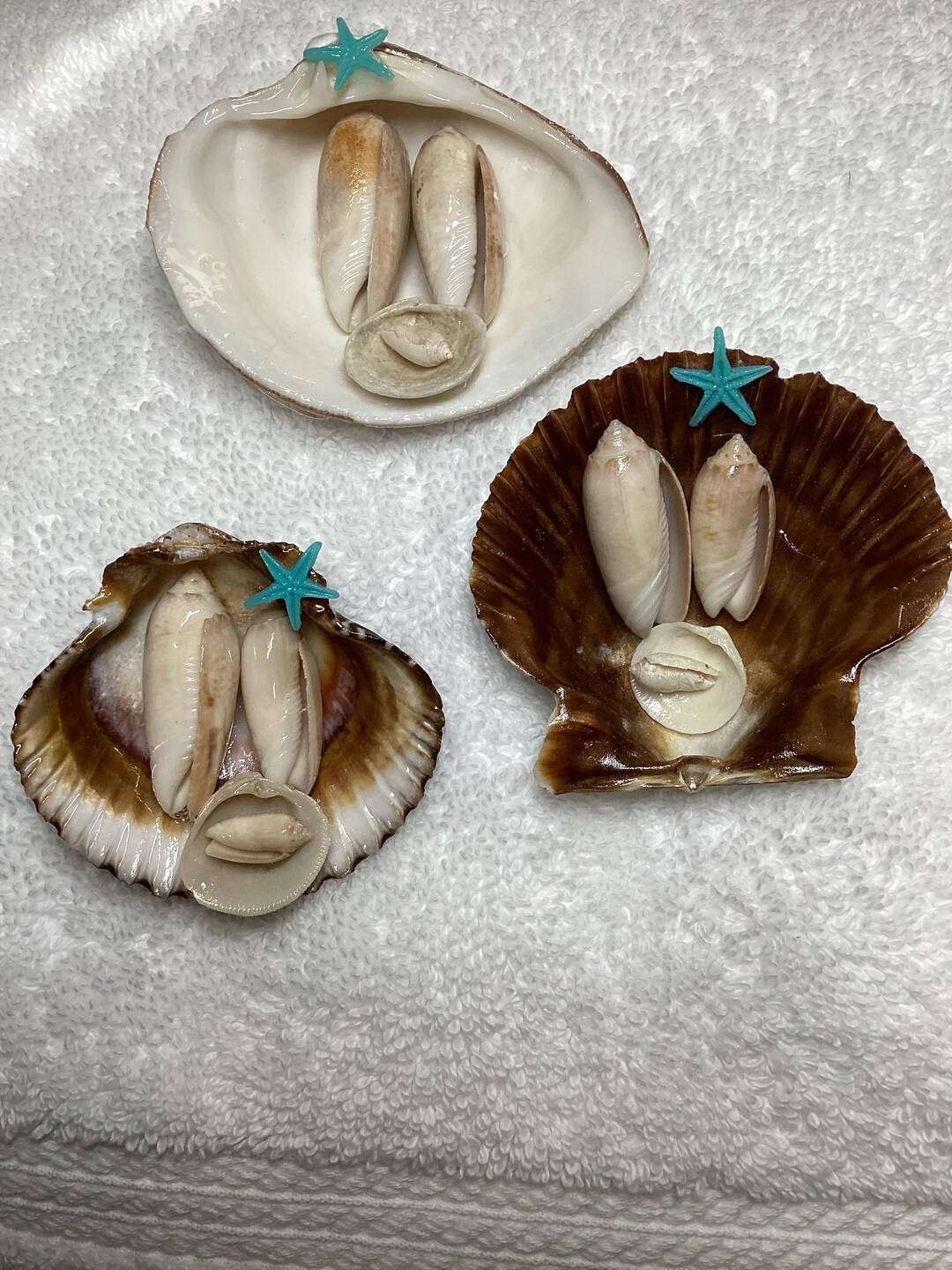 Jesus Christmas Manger Scene Shell With Olive Shells as Figures - Etsy