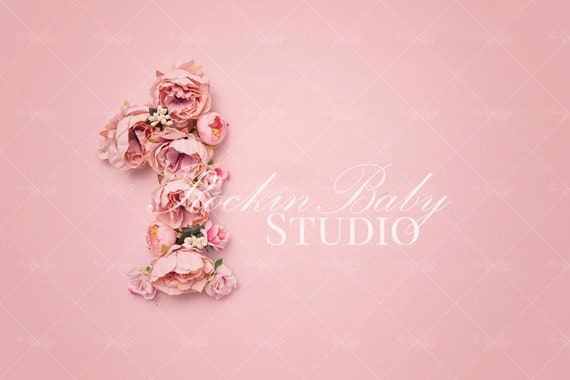Digital Backdrop First Month Baby Composite 12 Months Monthly Etsy
