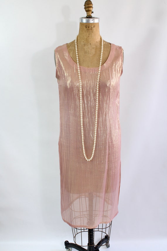 Sheer Pink & Gold Metallic Dress / Vintage Rose G… - image 4