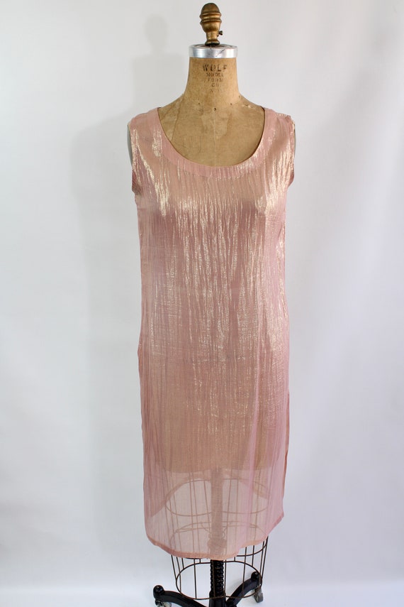 Sheer Pink & Gold Metallic Dress / Vintage Rose G… - image 3