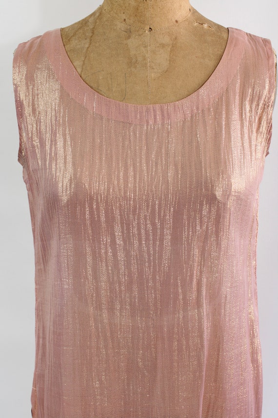 Sheer Pink & Gold Metallic Dress / Vintage Rose G… - image 2