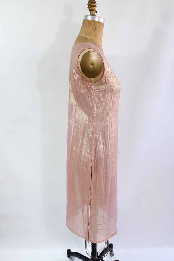 Sheer Pink & Gold Metallic Dress / Vintage Rose G… - image 8