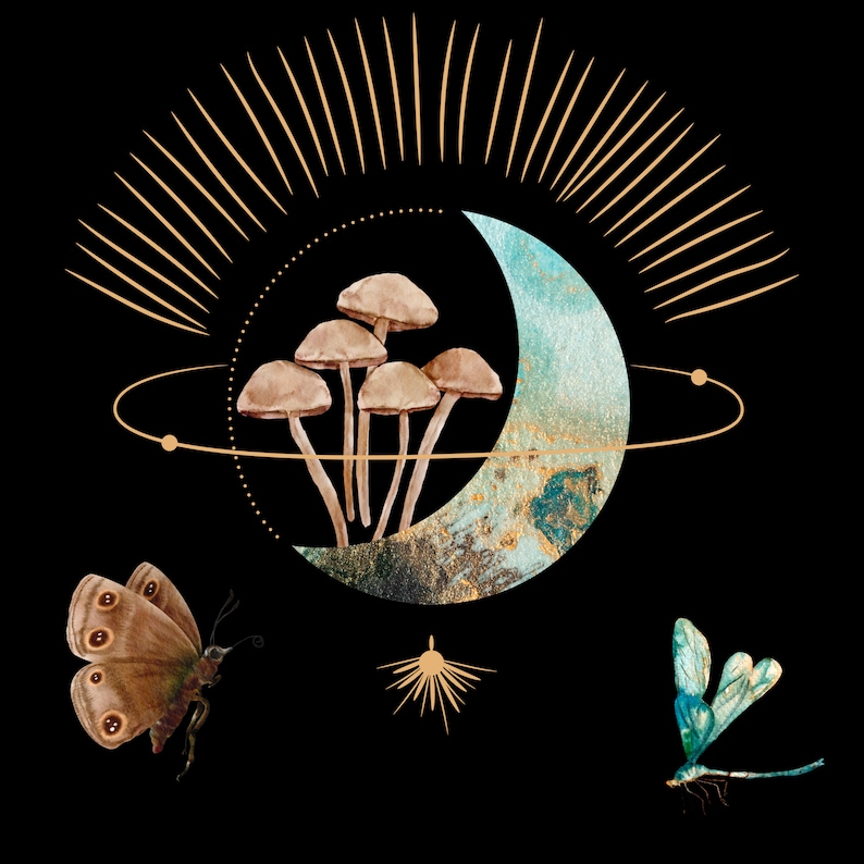 May include: A digital illustration on a black background features a crescent moon with a teal and gold texture, surrounded by a dotted line and a golden sunburst. Brown mushrooms, a butterfly, and a dragonfly are also depicted.