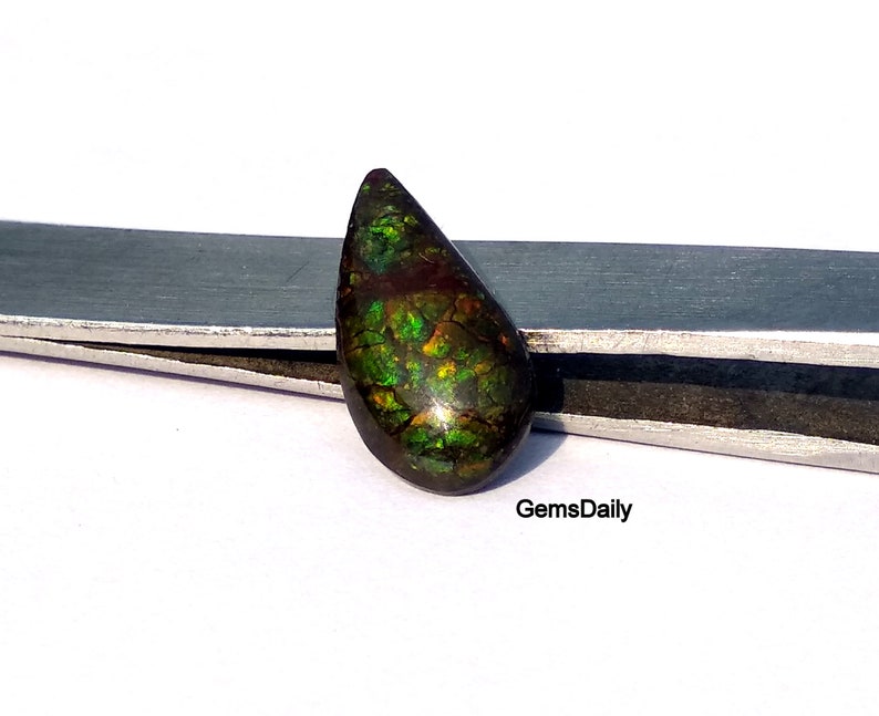 Top Quality Cabochons 100 /% Natural Gemstone 6x14 MM Natural Ammolite Fossil Gemstone Iridescent Matrix For One Piece