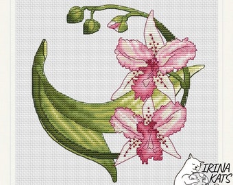 Orchid Cross stitch Pattern Instant Download PDF Floral Cross Stitch Chart Cattleya Summer Wreath Cross Stitch Nature Round Cross Stitch