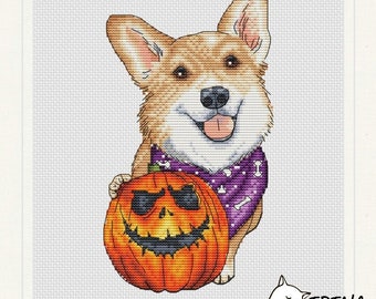 May include: A brown and white corgi dog wearing a purple bandana with white bone print holds a carved orange pumpkin with a black face. The dog is smiling with its tongue sticking out. The background is a light grey.