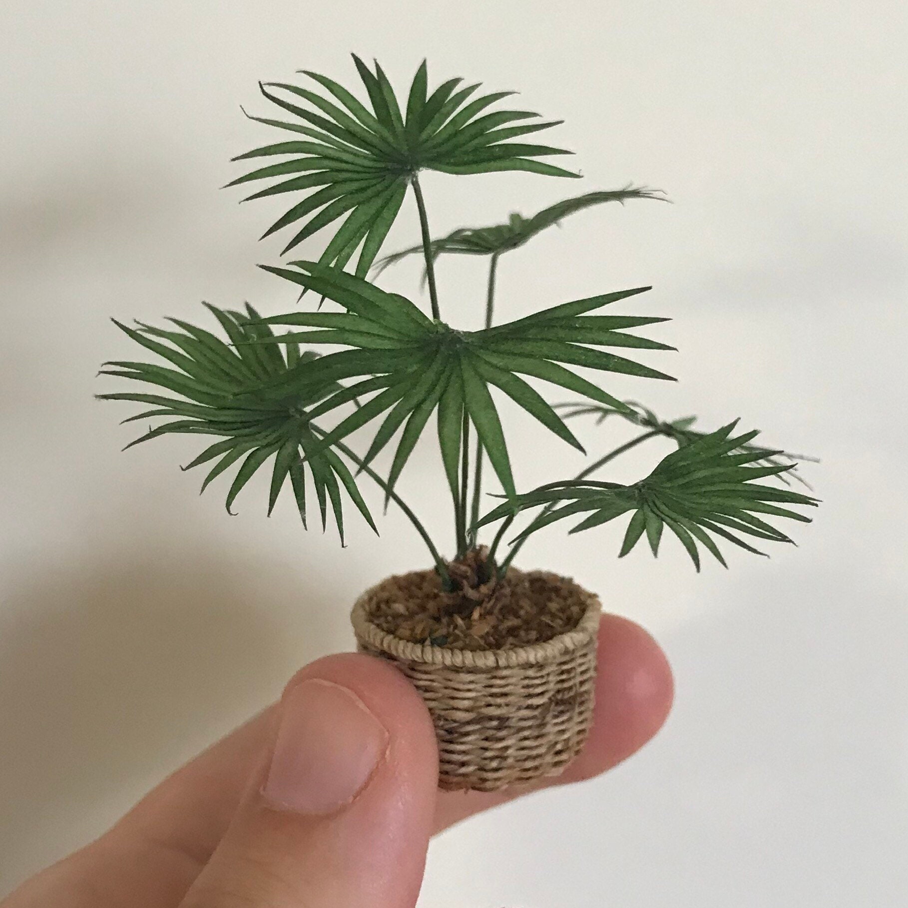 Miniature 112 scale handmade palm tree in tiny basket Etsy