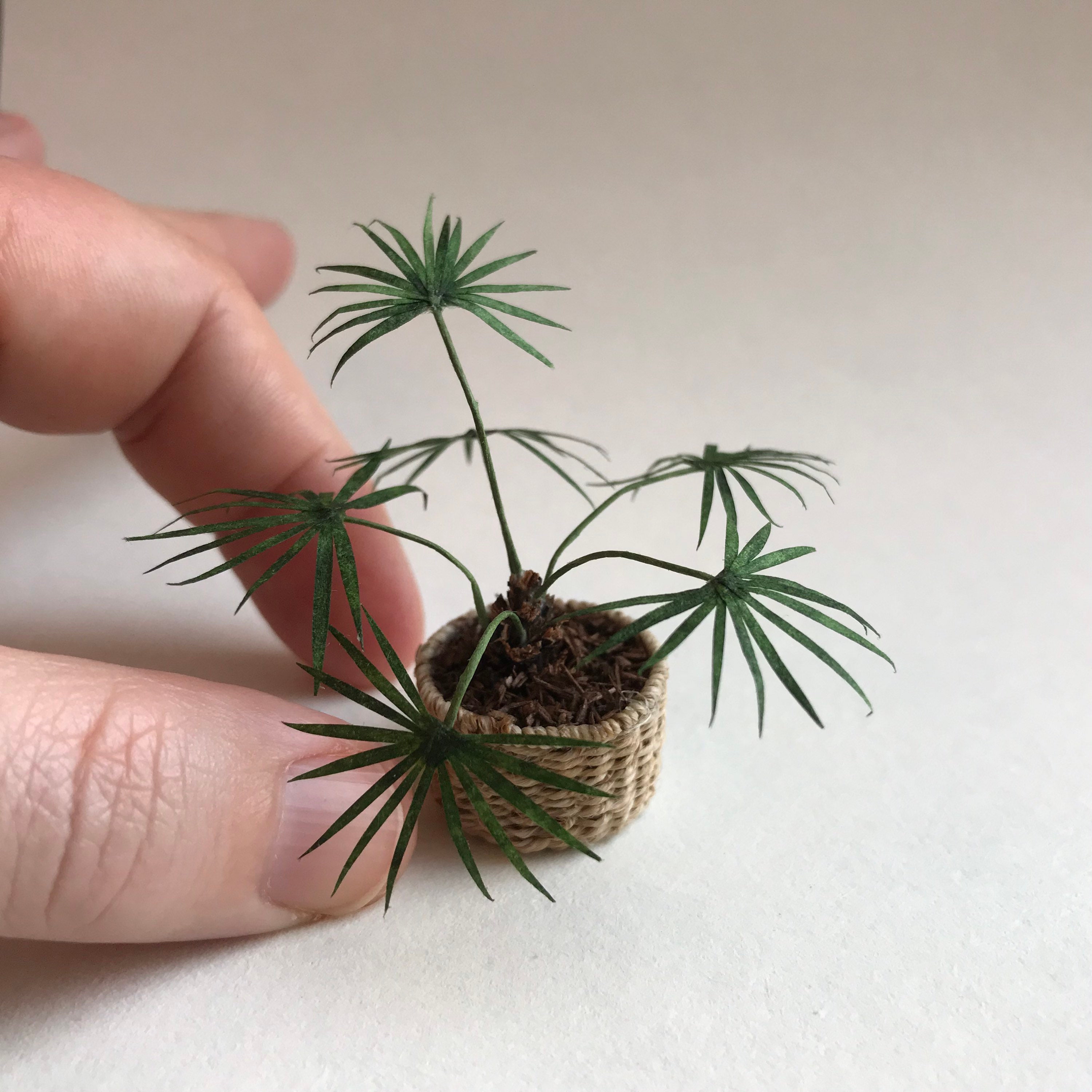 Miniature 112 scale handmade palm tree in tiny basket Etsy