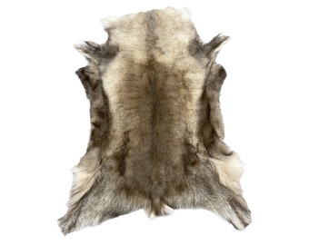 Arctic Reindeer Pelt XXL