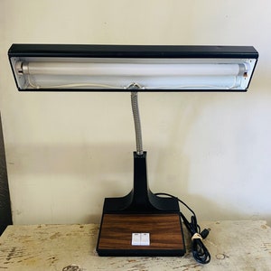 May include: A black and brown desk lamp with a flexible arm and a fluorescent light bulb. The lamp has two switches on the base.