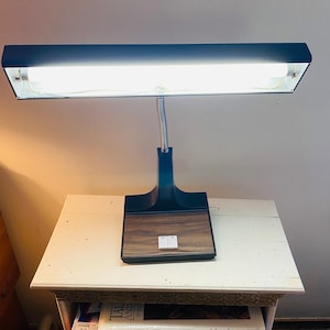 May include: A black and brown desk lamp with a long, thin fluorescent bulb. The lamp has a flexible neck and a wooden base with two switches.