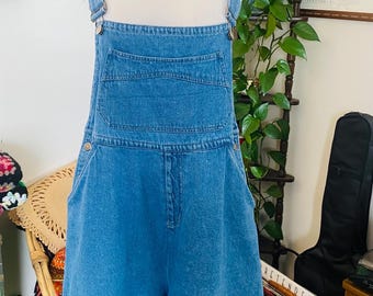 Vintage Denim Overall Shorts, Baccini International Sportswesr, Size 34, Plus Size