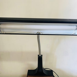 May include: A black and brown desk lamp with a flexible arm and a fluorescent light bulb. The lamp has two switches on the base.