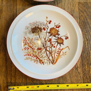 Vintage Snack Plates, Fancy Floral Collection, Botanical, Set of Five
