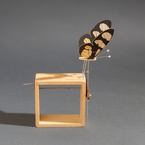 Automate papillon artisanal Tyridia Themisto